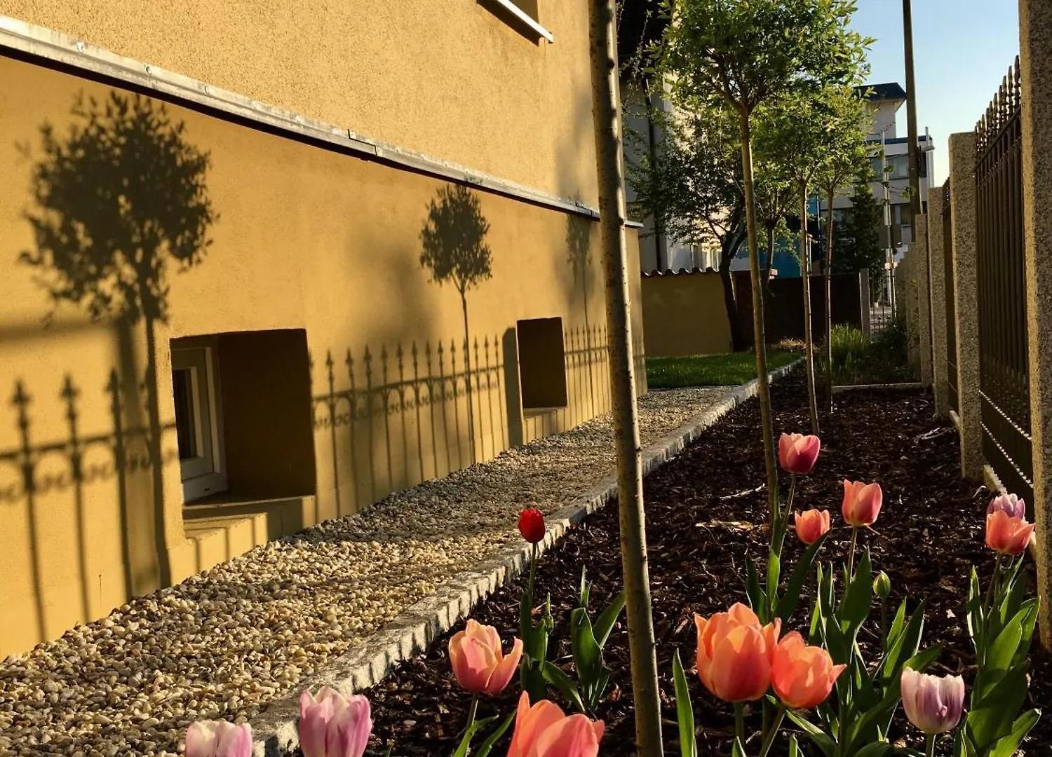 Top Wohnung In Stadtvilla Mit Terrasse Und Garten Nuremberg